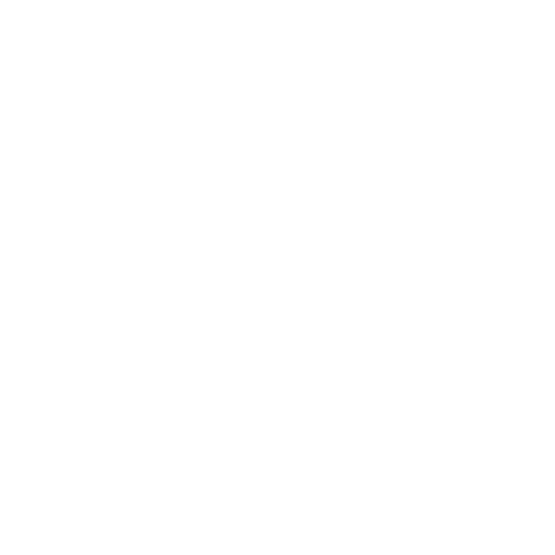 BloxyAspect Logo